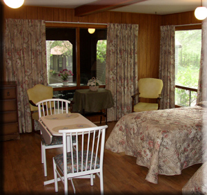 Looking out onto the screened porch