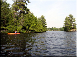 Ardagh Cottage Resort Cottage Rentals On Lovesick Lake In The