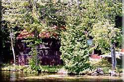 View of Oak from the water