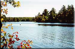 View of Lovesick Lake from Oak